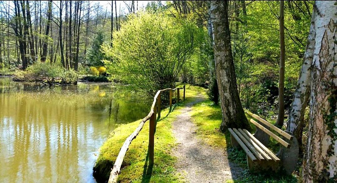 Ferienwohnung am Waldsee mit Schwimmbad Gernsbach Exterior foto