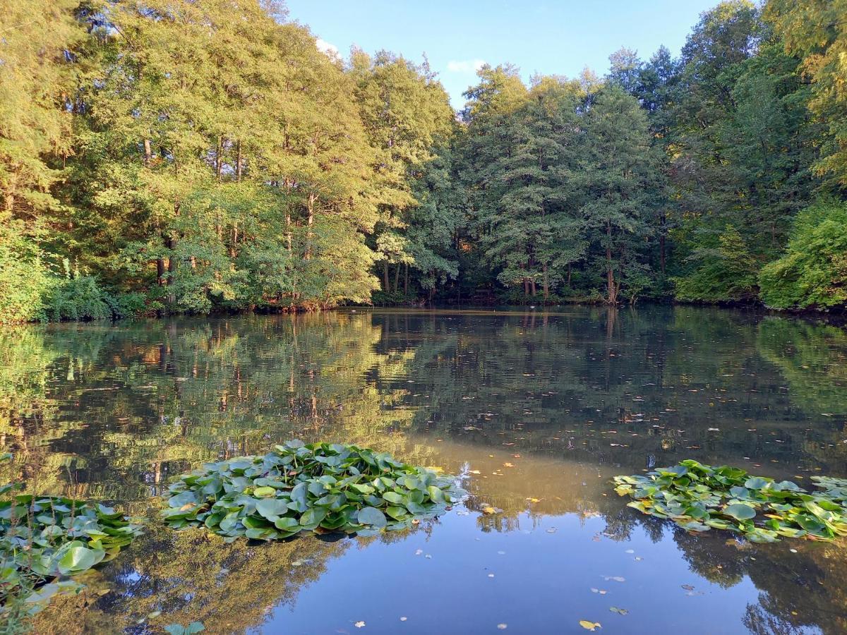 Ferienwohnung am Waldsee mit Schwimmbad Gernsbach Exterior foto